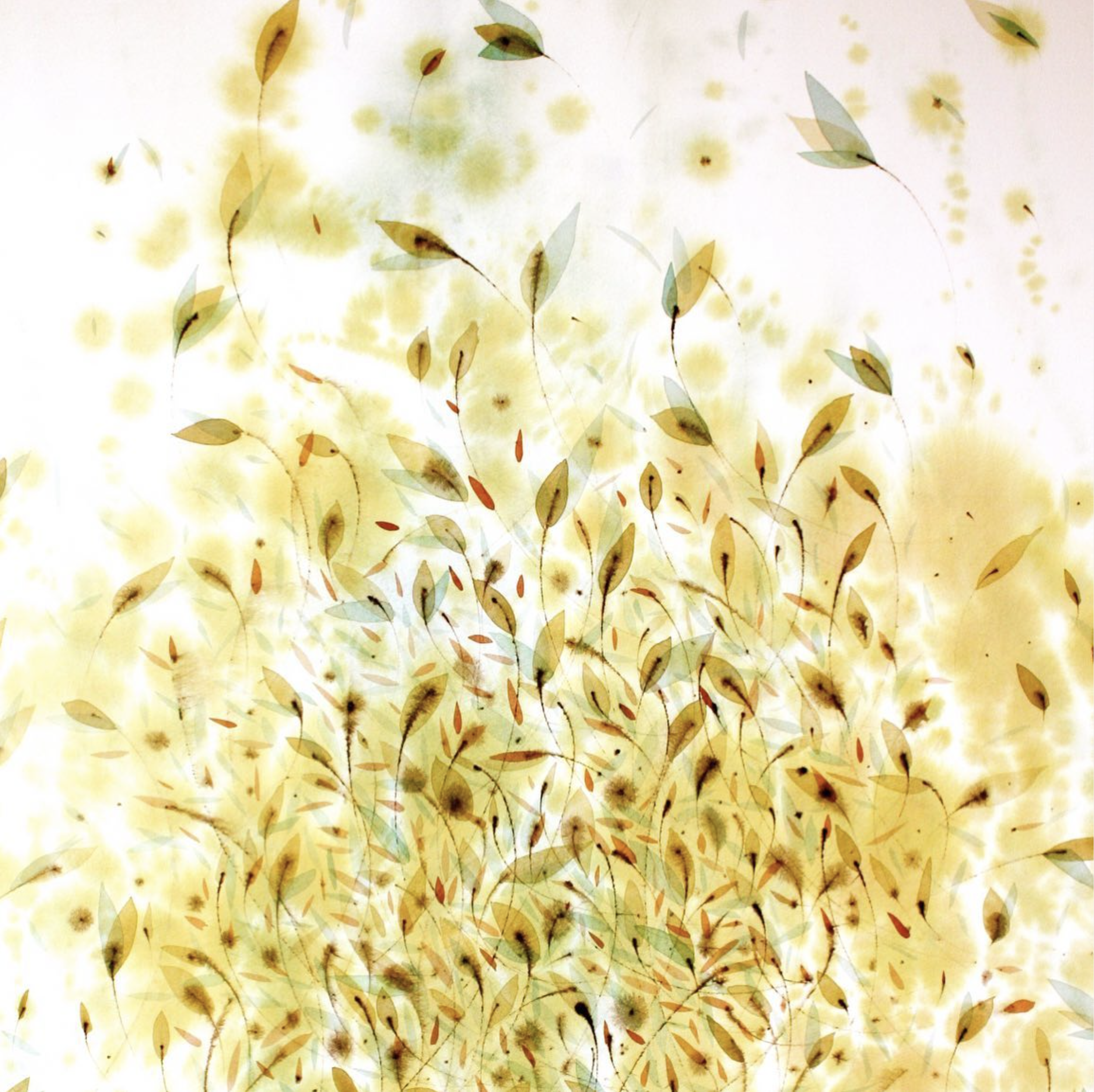 Jan's Work — Jan Heaton Watercolors